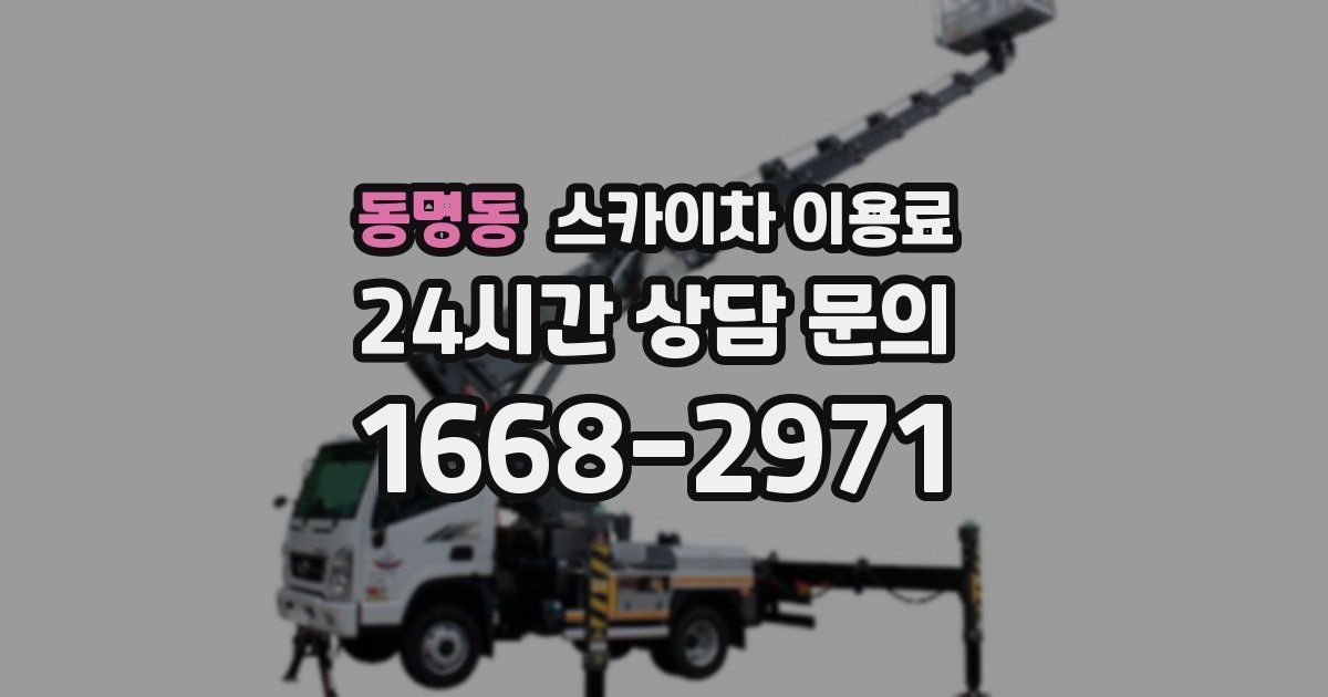 동명동 스카이차 이용료