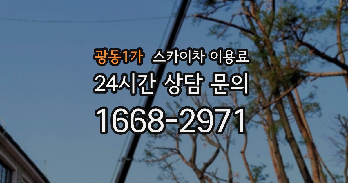 광동1가 스카이차 이용료