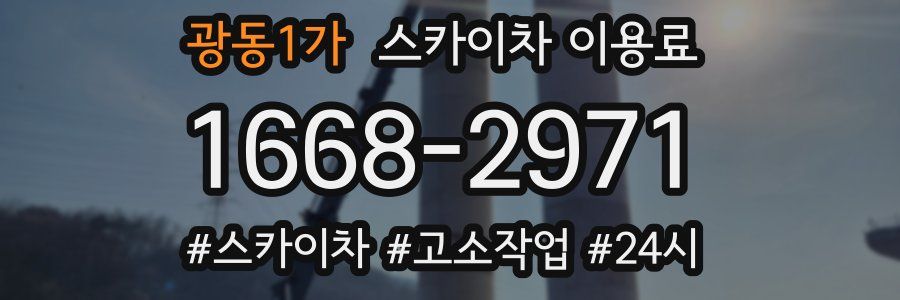 광동1가 스카이차 이용료