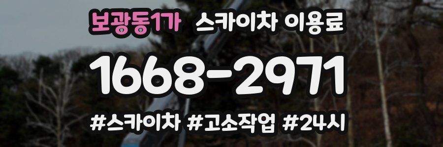 보광동1가 스카이차 이용료