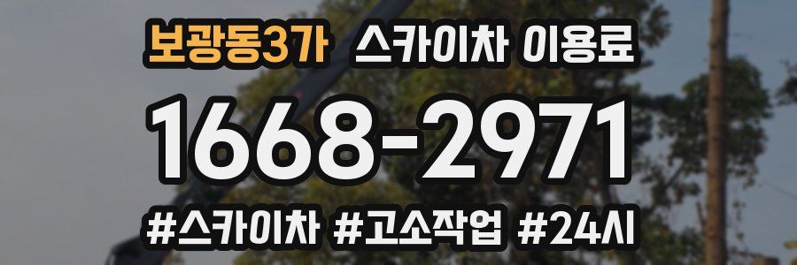 보광동3가 스카이차 이용료
