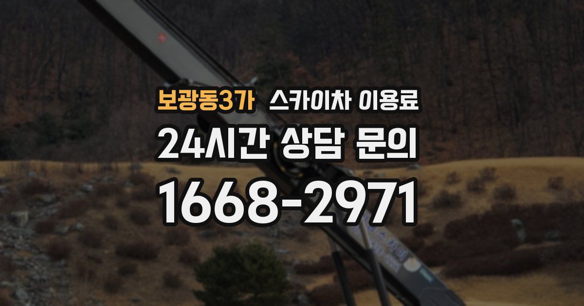 보광동3가 스카이차 이용료