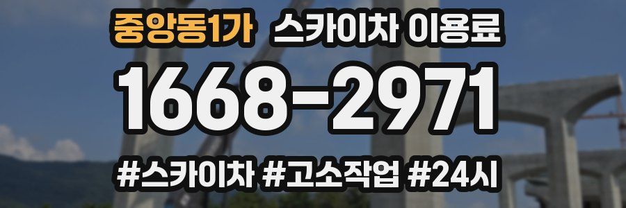 중앙동1가 스카이차 이용료
