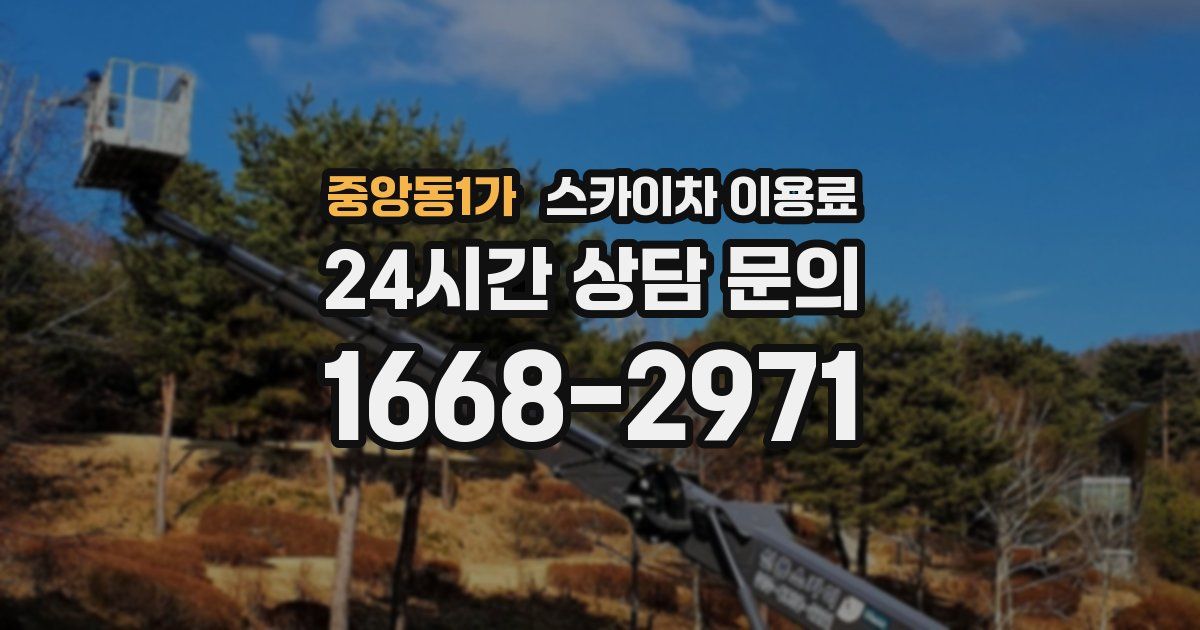 중앙동1가 스카이차 이용료