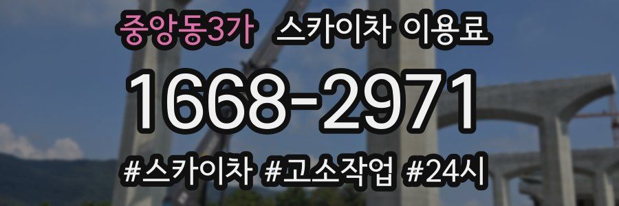중앙동3가 스카이차 이용료