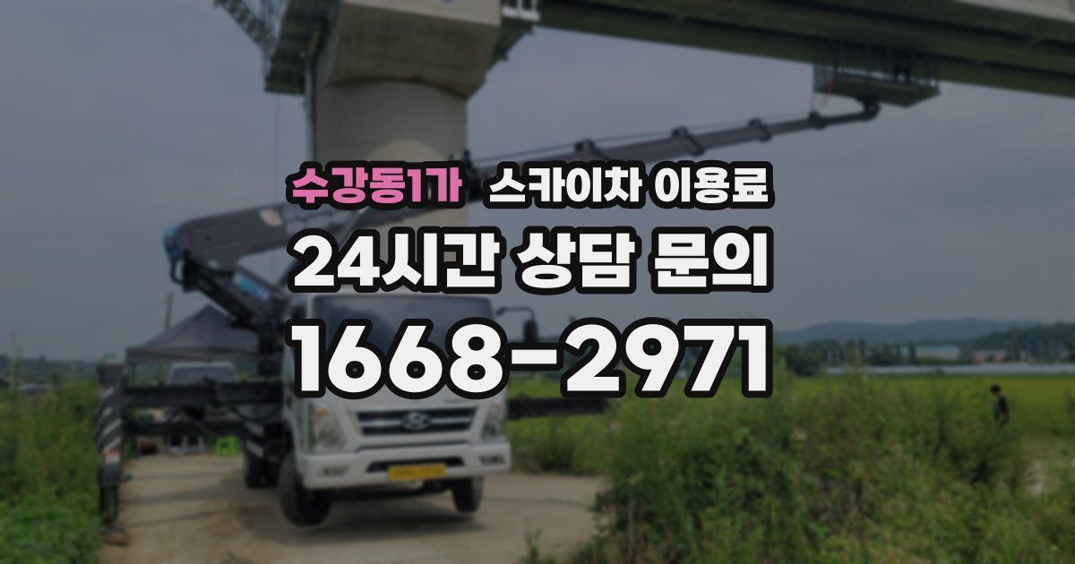수강동1가 스카이차 이용료