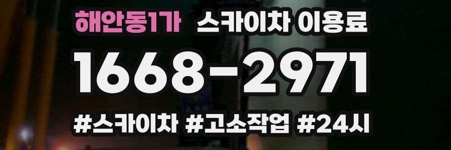 해안동1가 스카이차 이용료