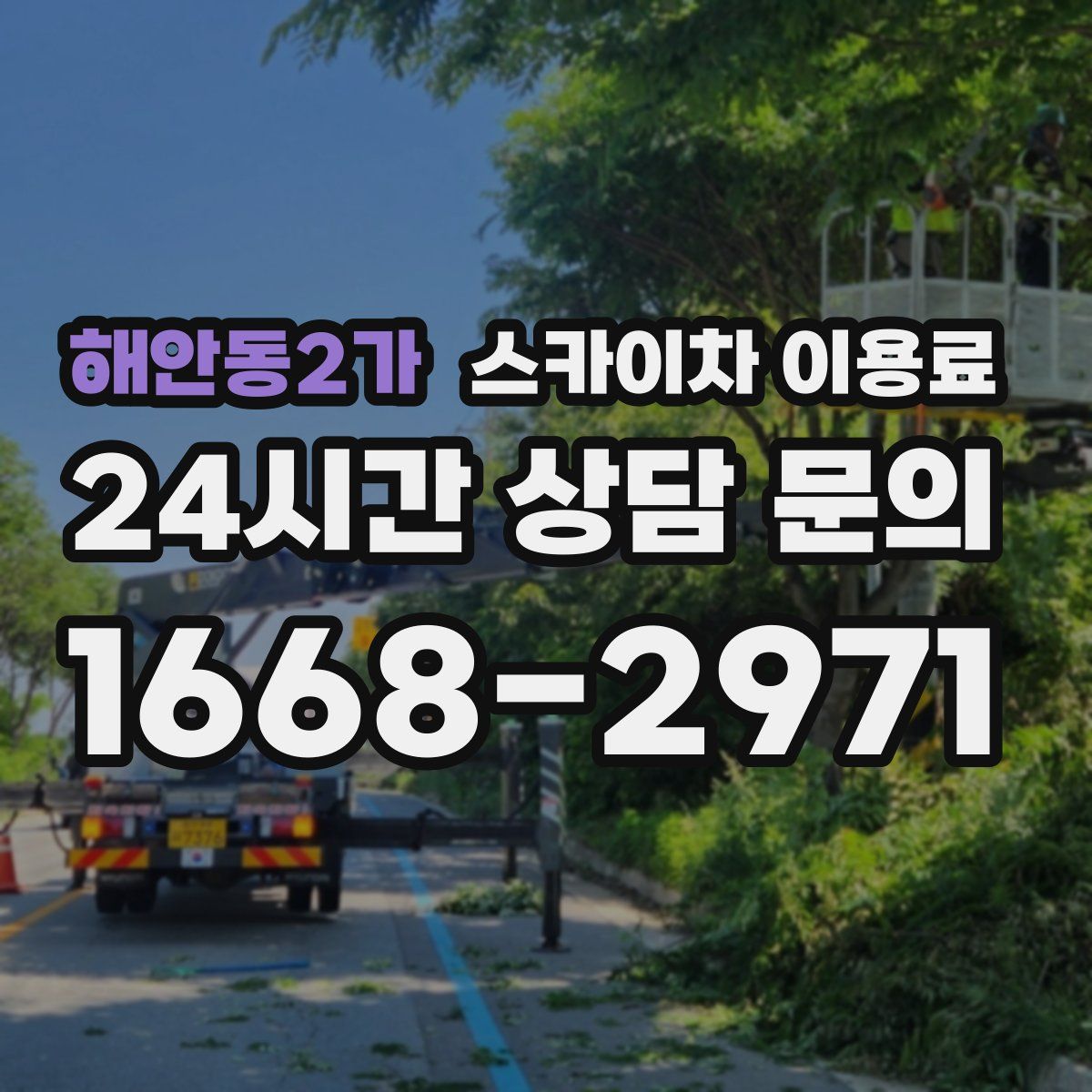 해안동2가 스카이차 이용료