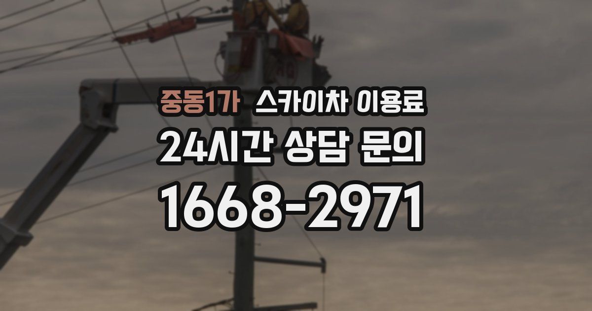 중동1가 스카이차 이용료