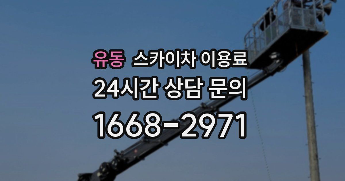 유동 스카이차 이용료