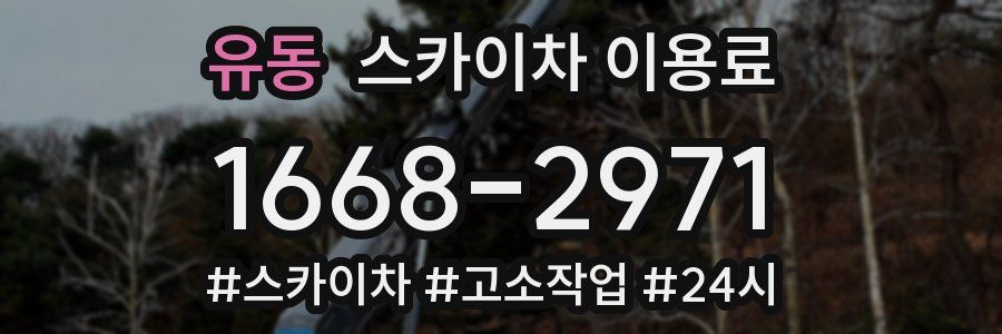 유동 스카이차 이용료