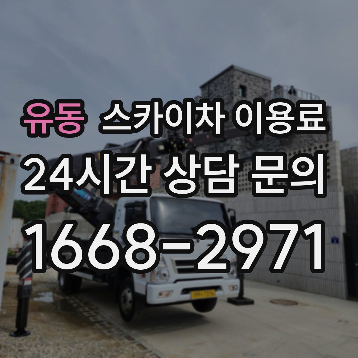 유동 스카이차 이용료