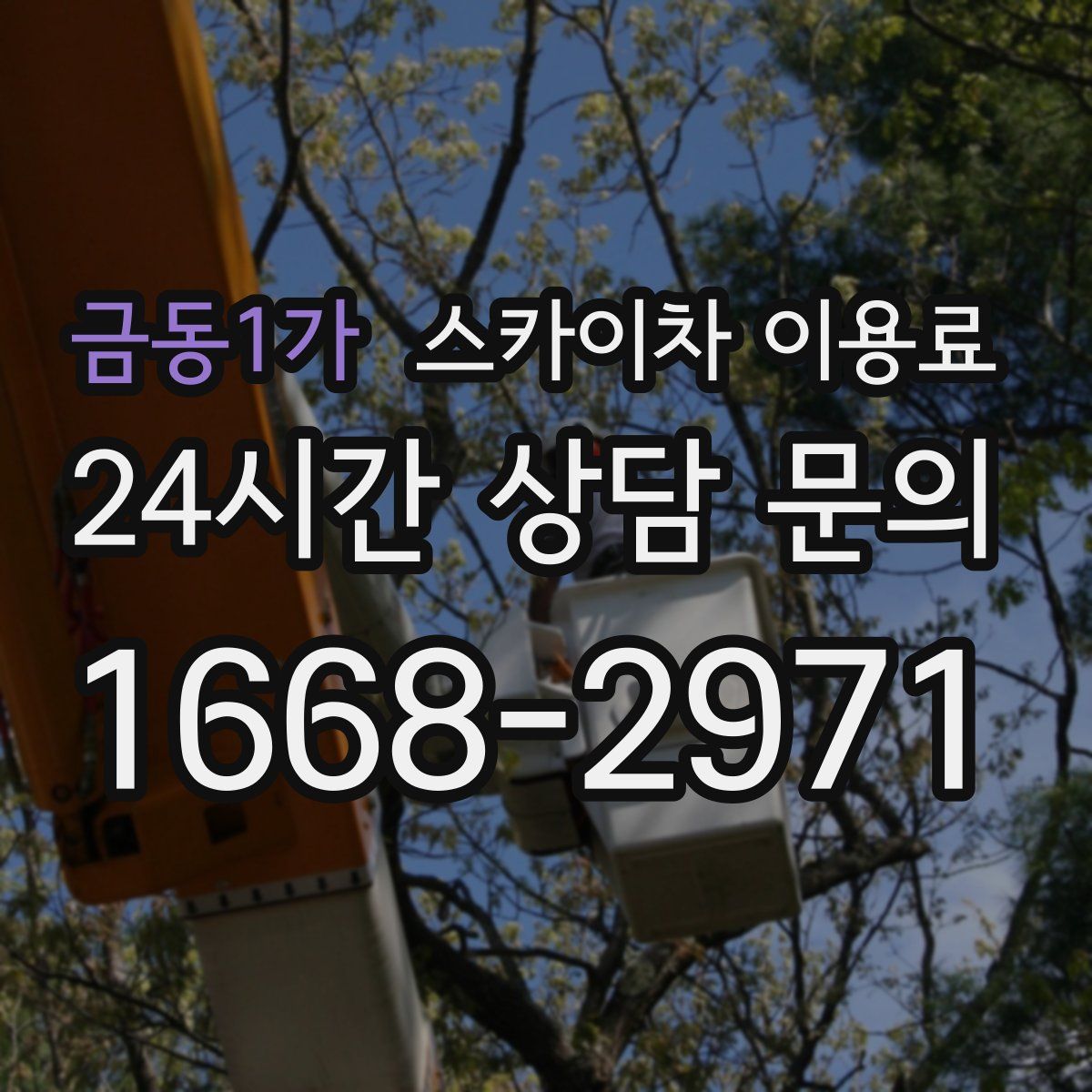 금동1가 스카이차 이용료