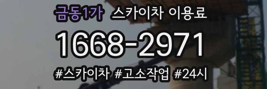 금동1가 스카이차 이용료