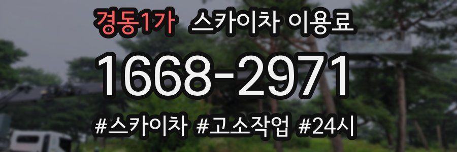 경동1가 스카이차 이용료