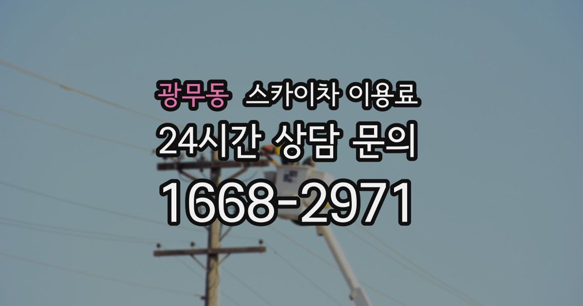 광무동 스카이차 이용료