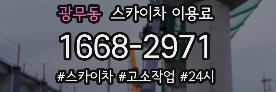 광무동 스카이차 이용료