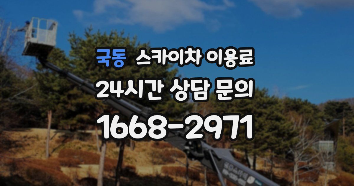 국동 스카이차 이용료