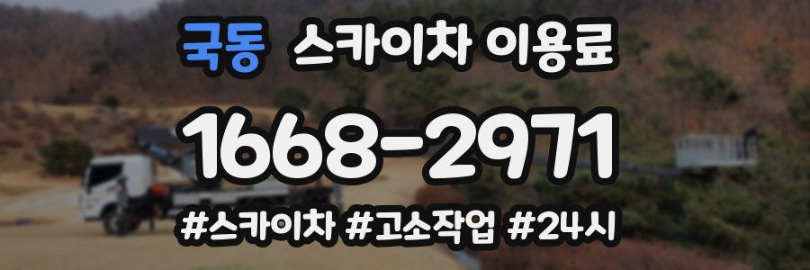국동 스카이차 이용료
