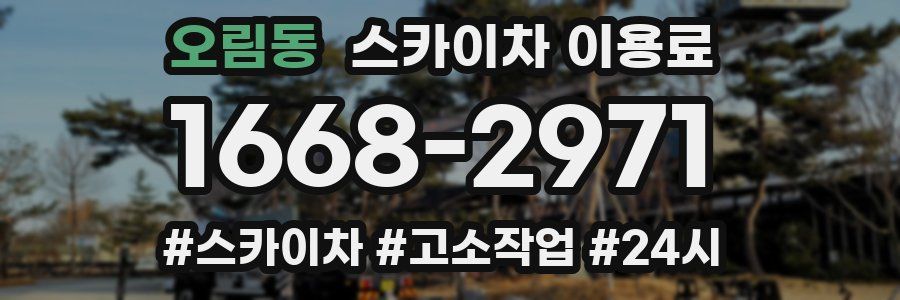 오림동 스카이차 이용료