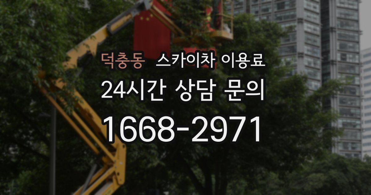 덕충동 스카이차 이용료