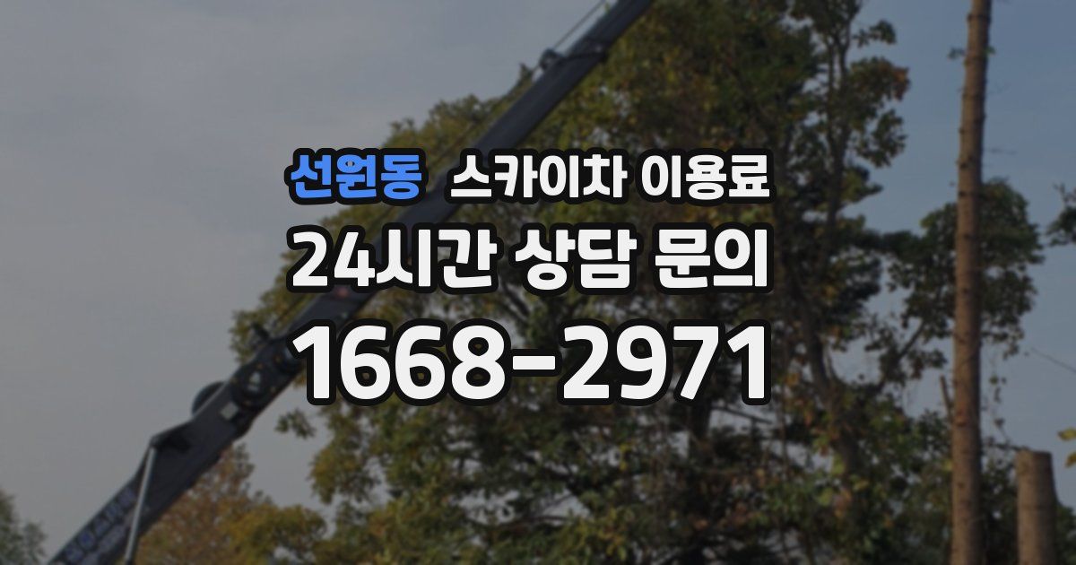 선원동 스카이차 이용료