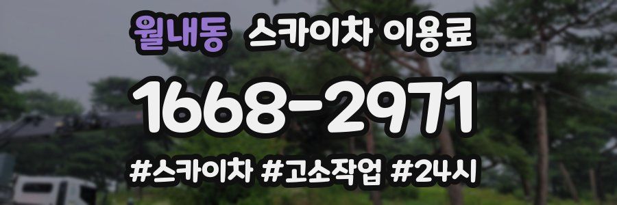 월내동 스카이차 이용료