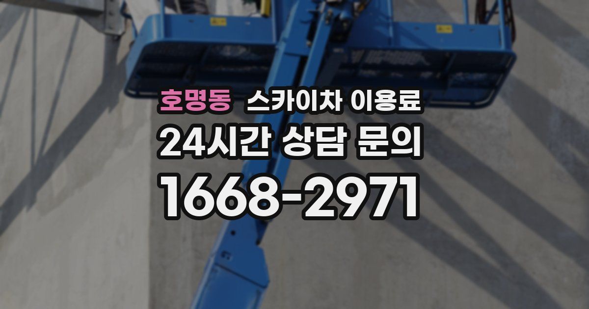 호명동 스카이차 이용료