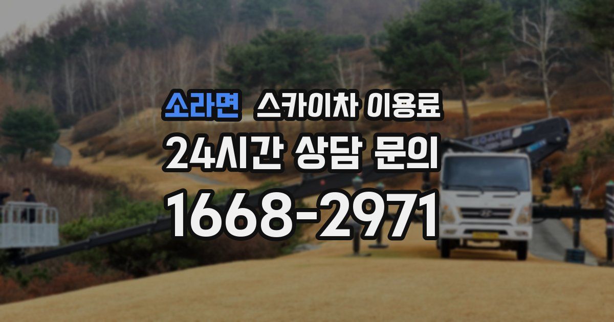 소라면 스카이차 이용료