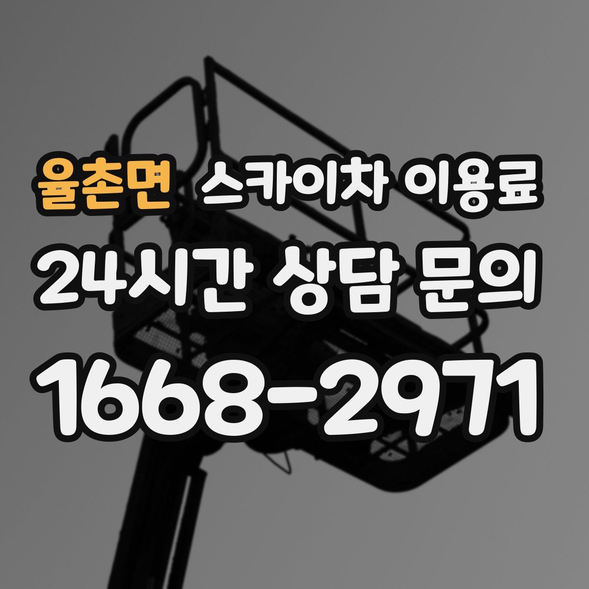 율촌면 스카이차 이용료