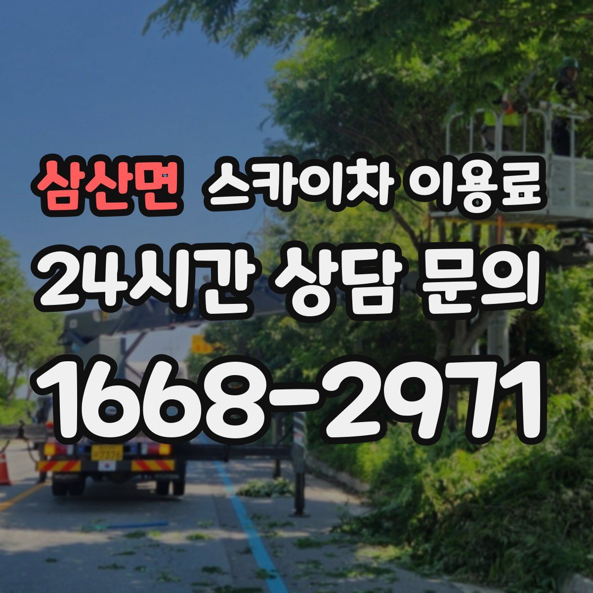 삼산면 스카이차 이용료