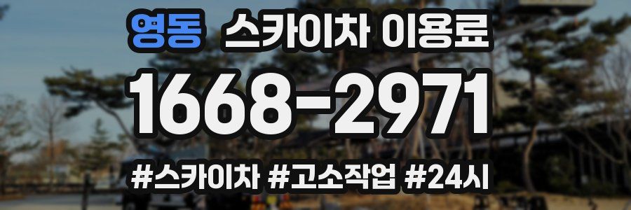 영동 스카이차 이용료