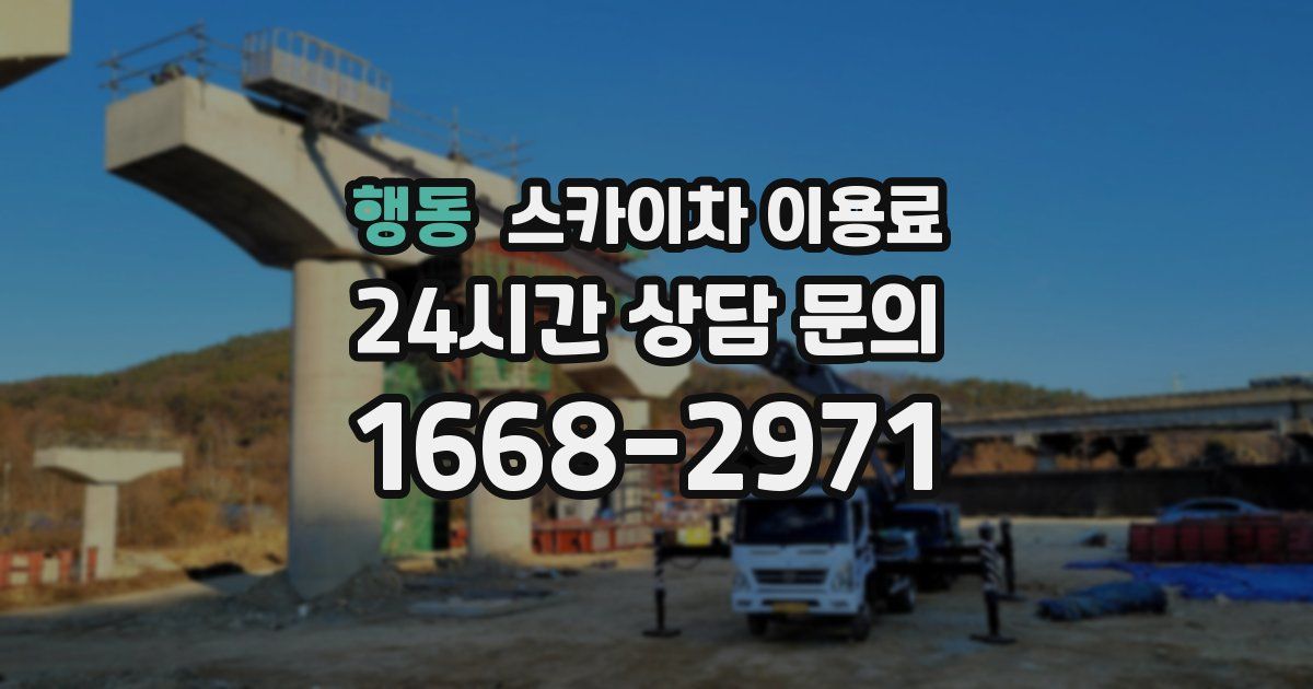 행동 스카이차 이용료