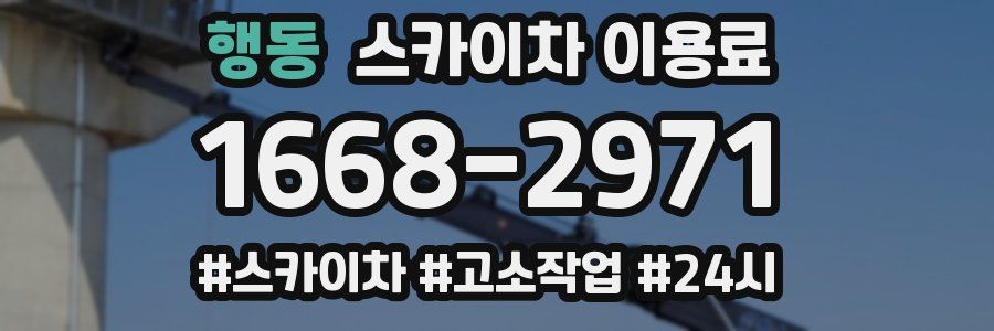행동 스카이차 이용료