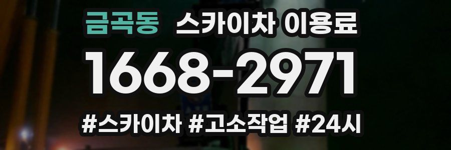 금곡동 스카이차 이용료