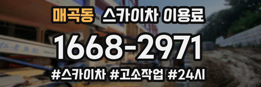 매곡동 스카이차 이용료