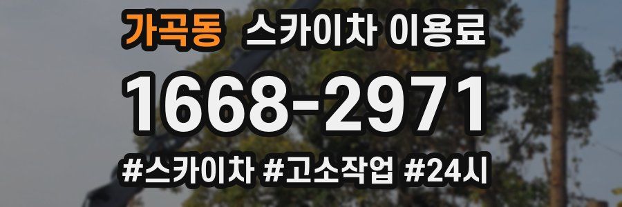 가곡동 스카이차 이용료