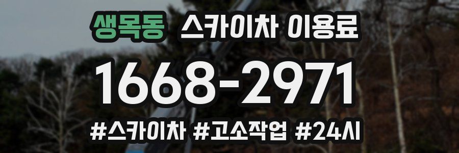 생목동 스카이차 이용료