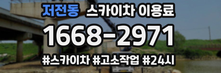 저전동 스카이차 이용료