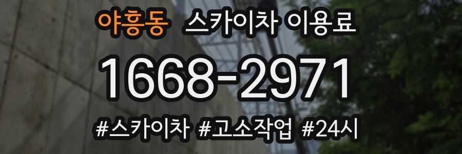 야흥동 스카이차 이용료
