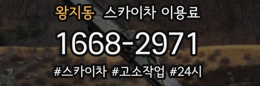 왕지동 스카이차 이용료