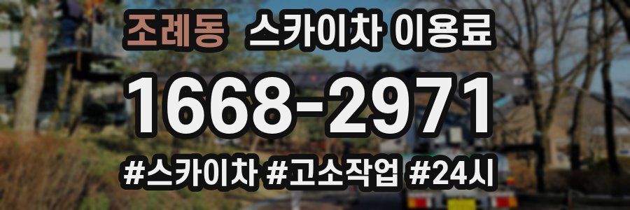 조례동 스카이차 이용료