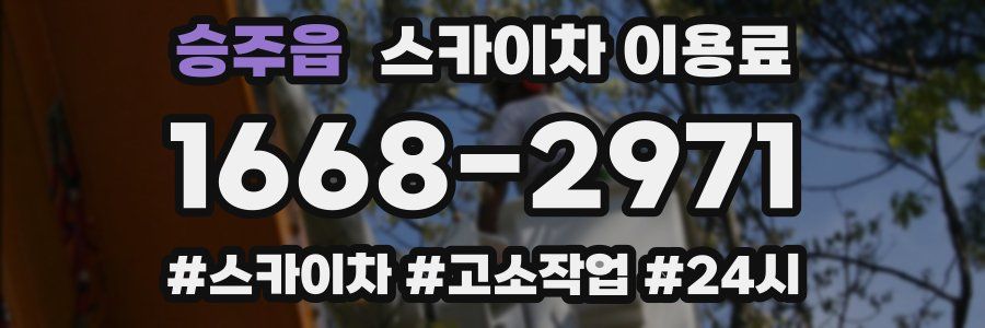 승주읍 스카이차 이용료