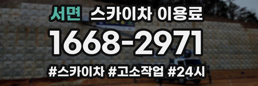 서면 스카이차 이용료