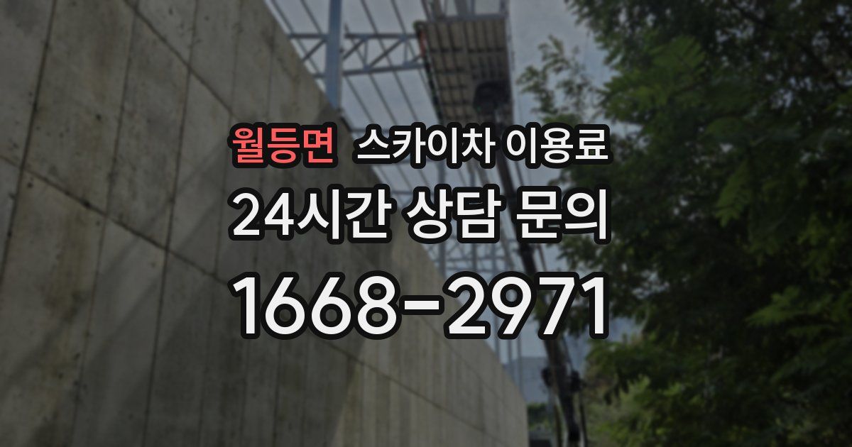 월등면 스카이차 이용료