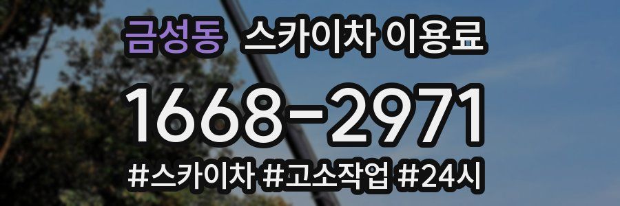 금성동 스카이차 이용료