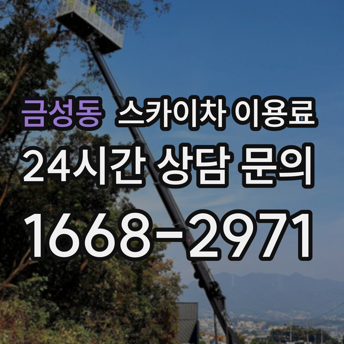 금성동 스카이차 이용료