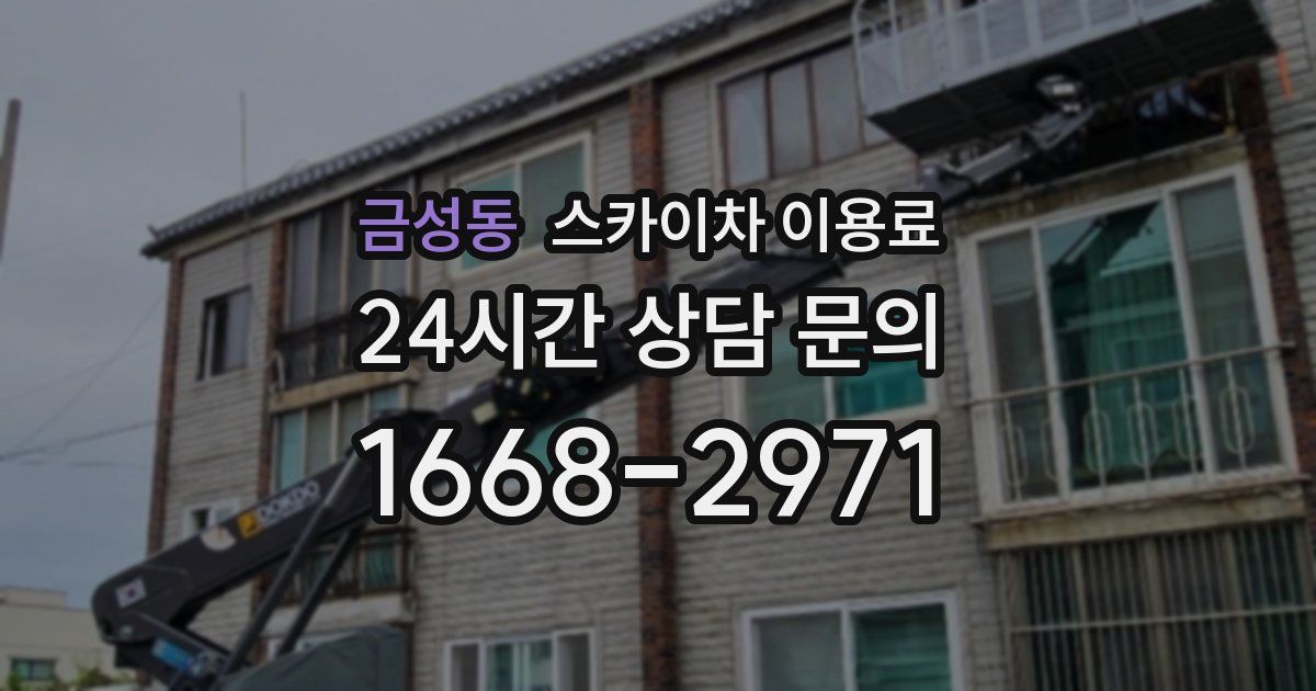 금성동 스카이차 이용료