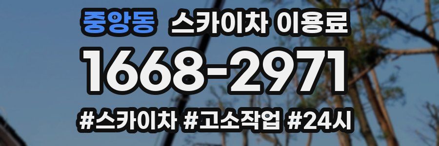 중앙동 스카이차 이용료