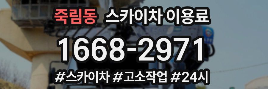 죽림동 스카이차 이용료